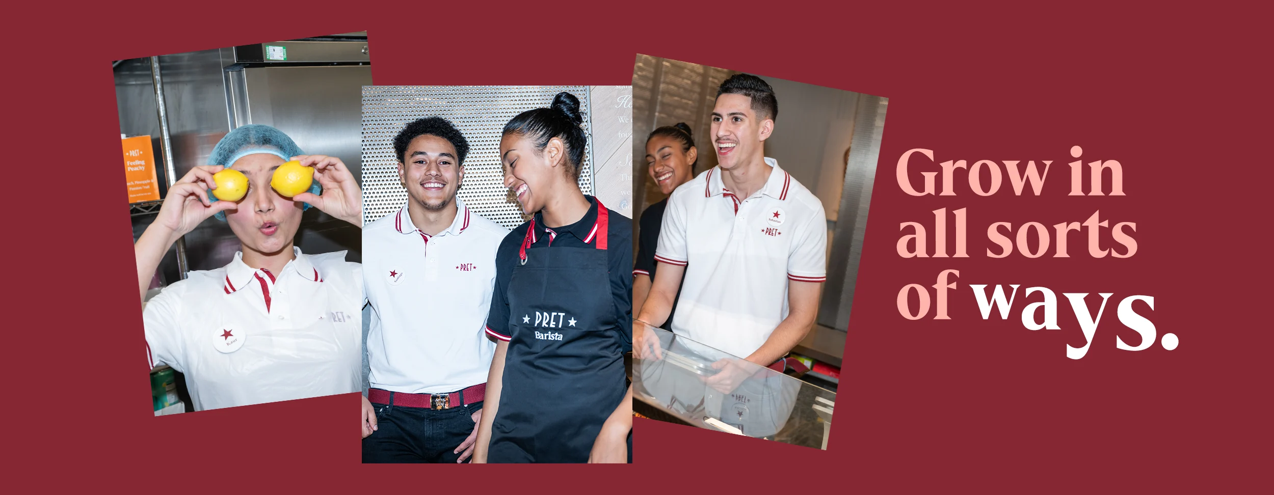 Early Careers & Apprenticeships