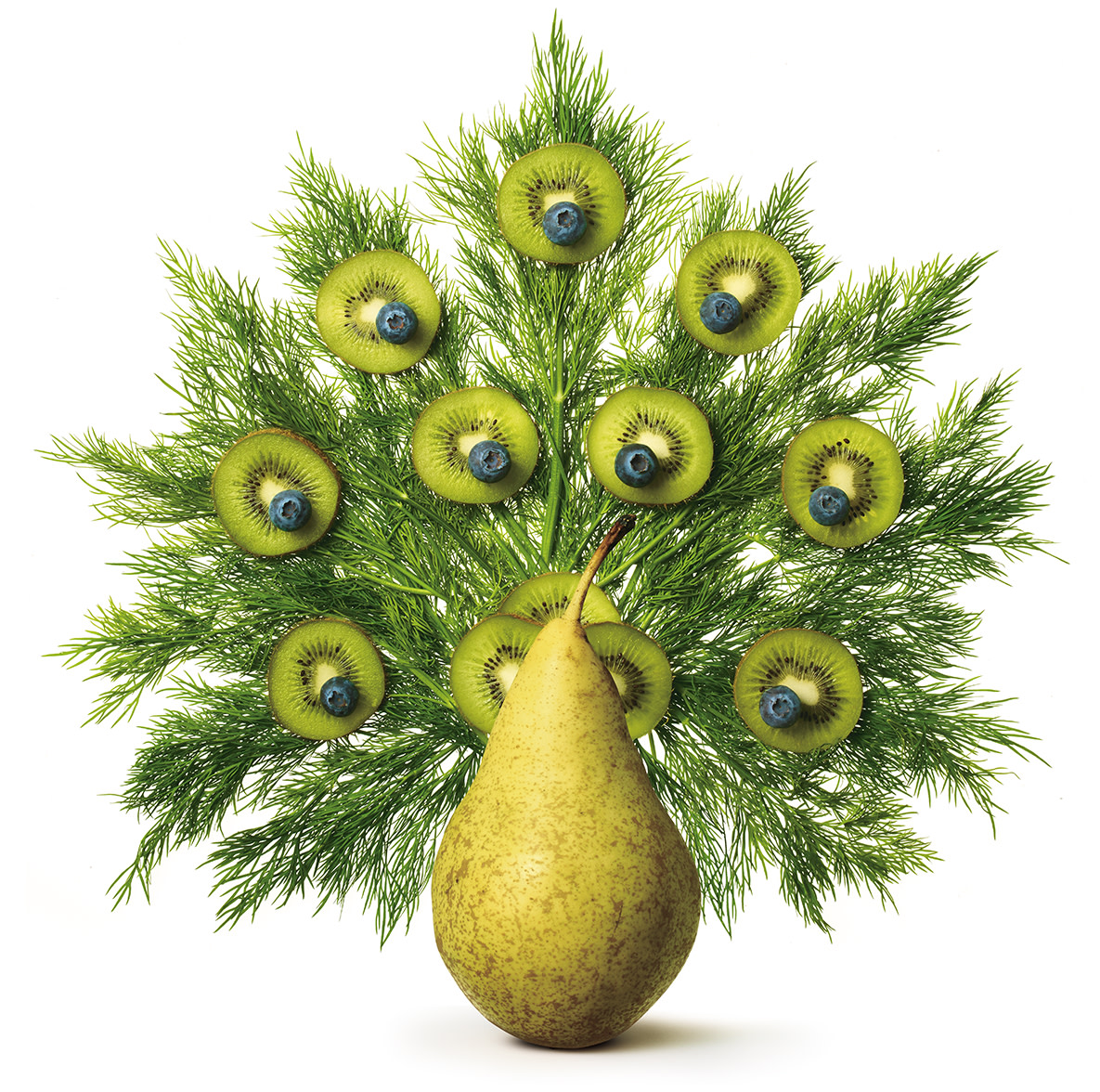 A peacock image made out of fruit