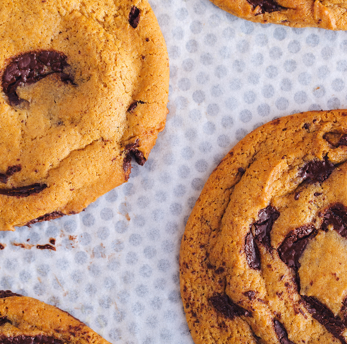 Chocolate chunk cookies on a baking tray.