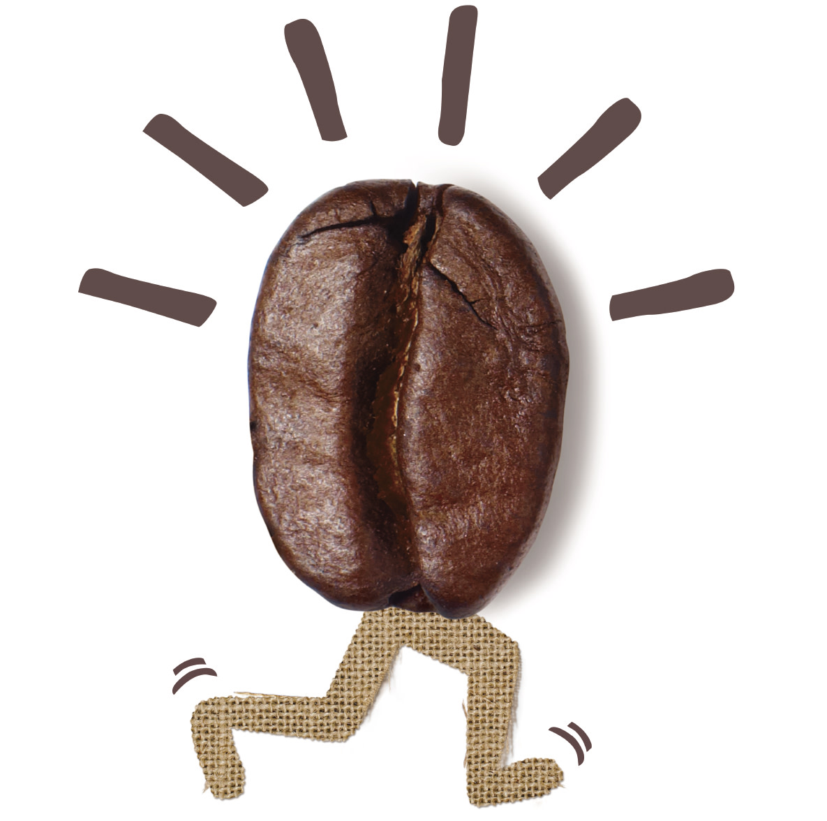 Organic Coffee