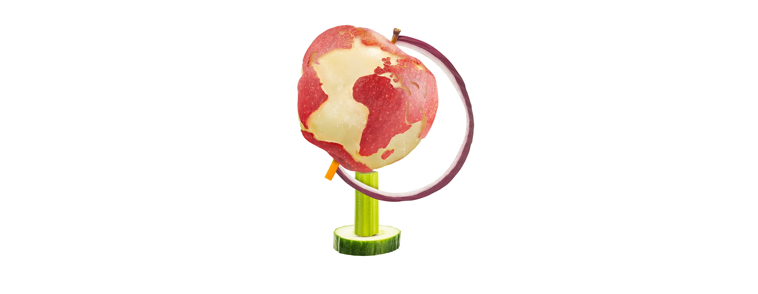 Sustainability