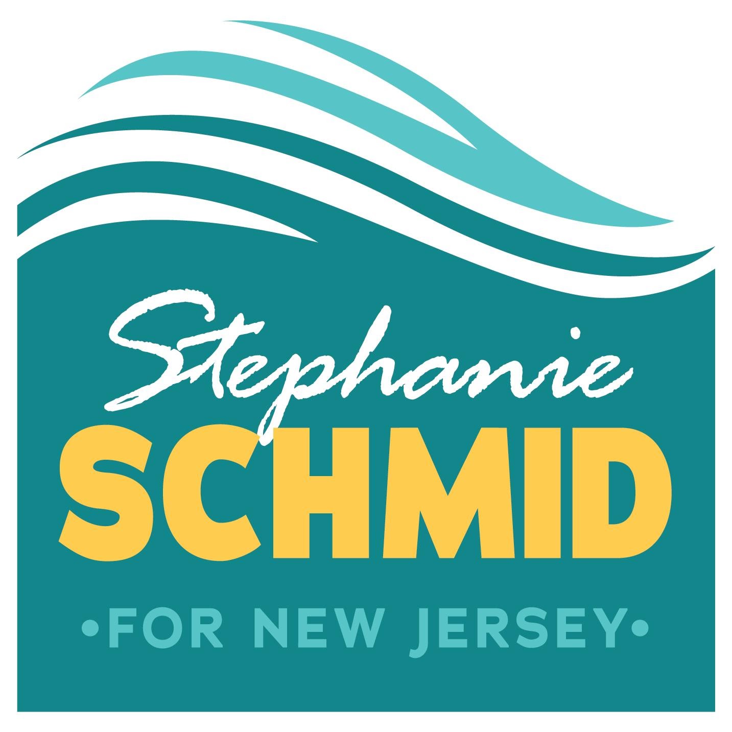 Schmid 2020 Logo