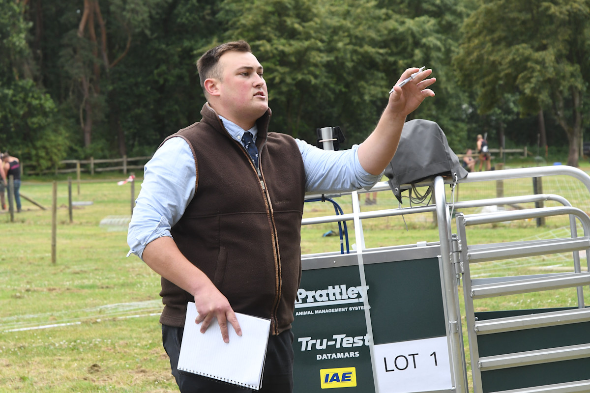 Auctioneering 2026