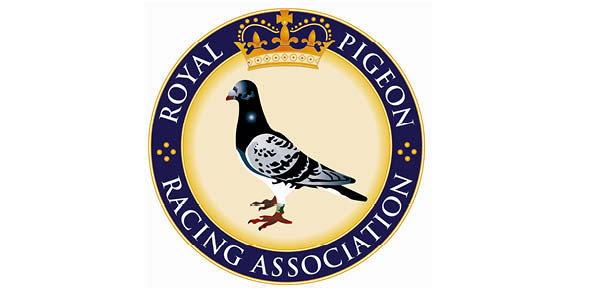 Land sought for pigeon racing 
