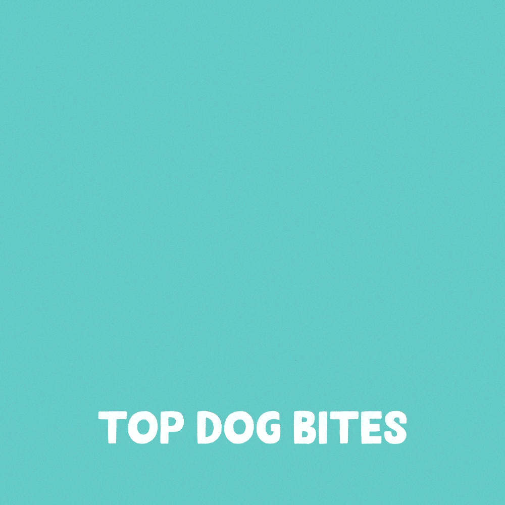 GIF Top Dog Bites - Comparison Small & Large