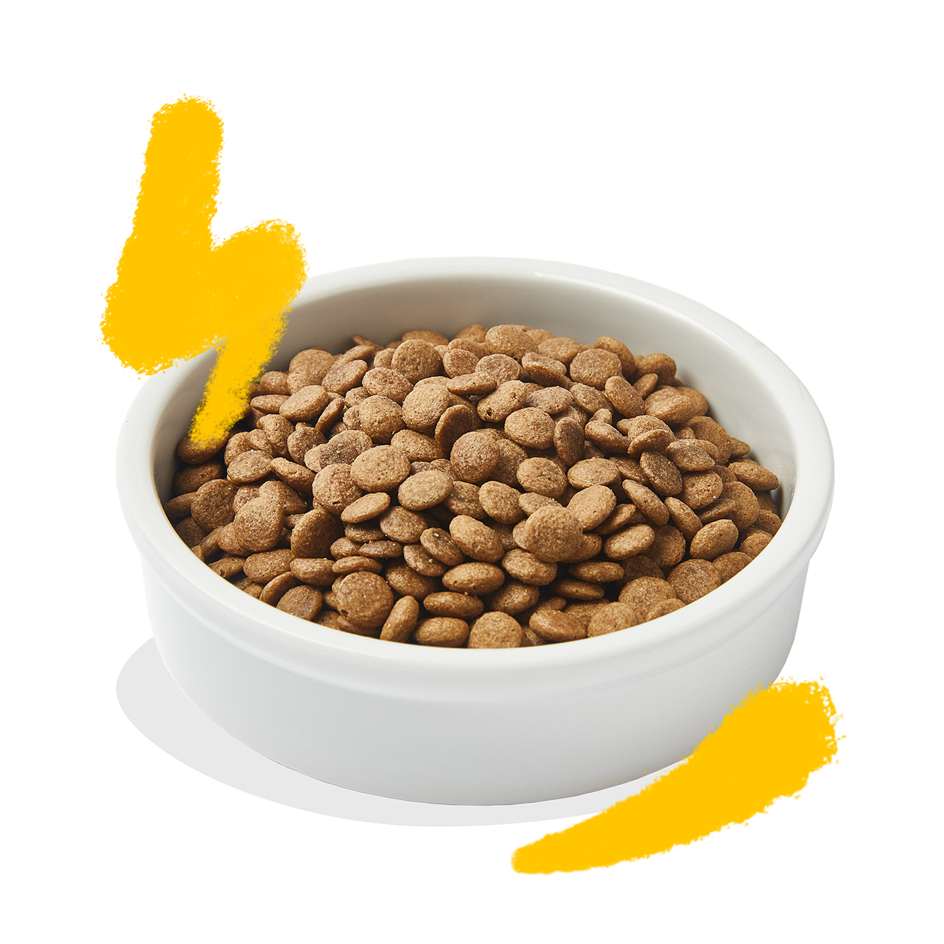 Cat kibble product in doodled bowl shots