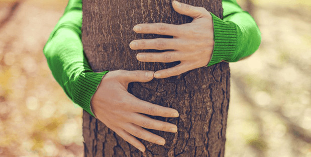 Person With Green Sleeves Hugging A Tree 