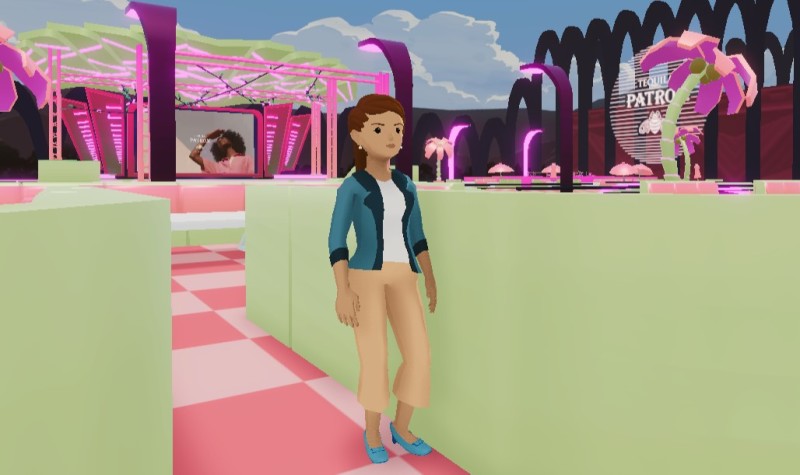 Entry to the Flamingos in Decentraland.