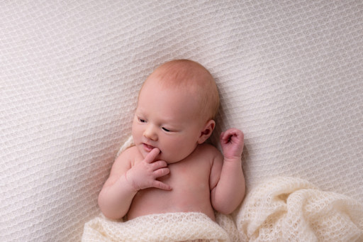 Photographe nouveau né Carcassonne Photographe nouveau né Carcassonne