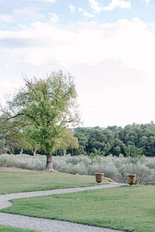 French wedding photographer near Carcassonne, France French wedding photographer near Carcassonne, France