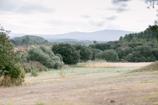 Destination wedding photographer in Carcassonne, France