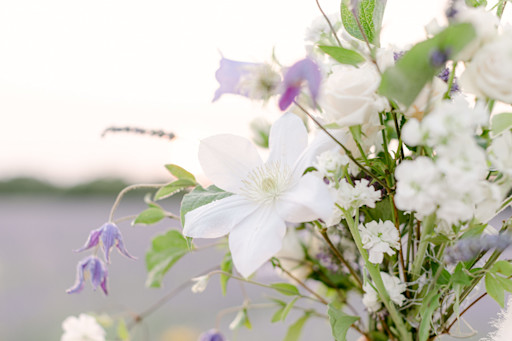 Mariage en Provence, Lavandes Mariage en Provence, Lavandes