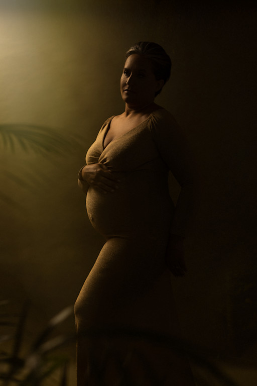 Photographe portraitiste de la femme enceinte Photographe portraitiste de la femme enceinte