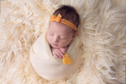 Photographe studio Occitanie Photographe studio Occitanie