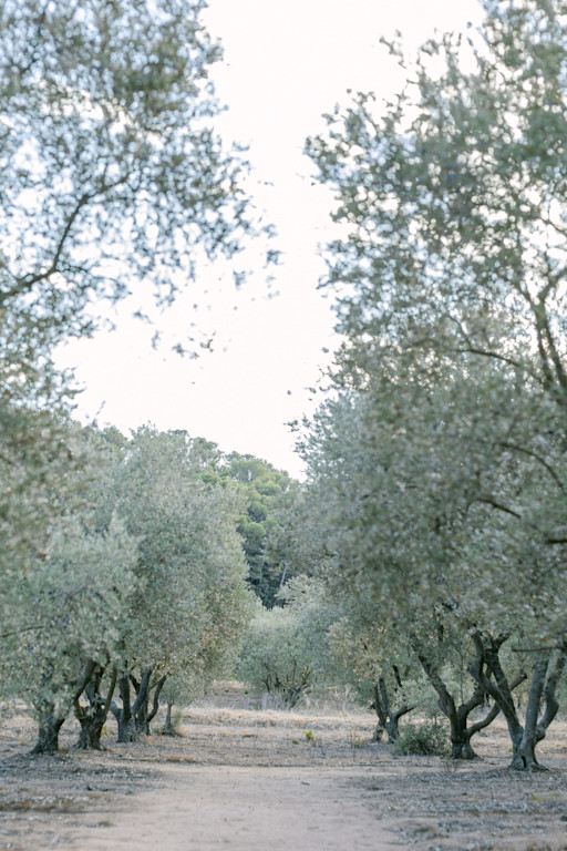 French wedding photographer near Carcassonne, France French wedding photographer near Carcassonne, France