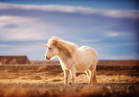 What’s Happening With The Word “Unicorn”?