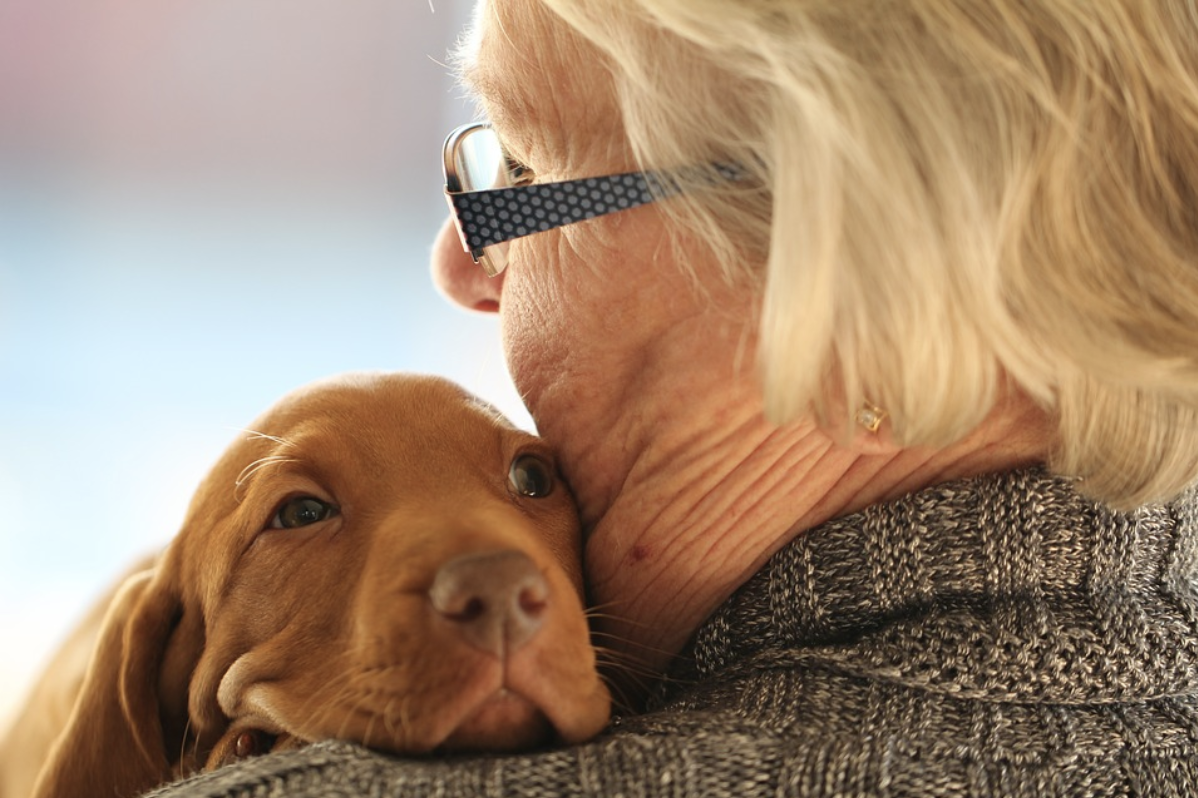 Hund wird von älterer Dame im Arm gehalten Hund wird von älterer Dame im Arm gehalten