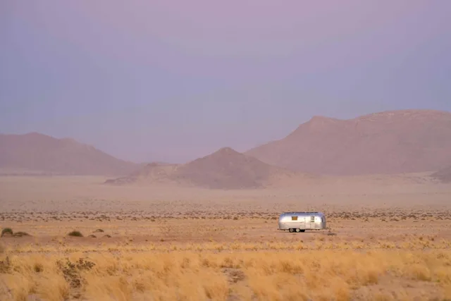 Thylacine Namibia One Moment