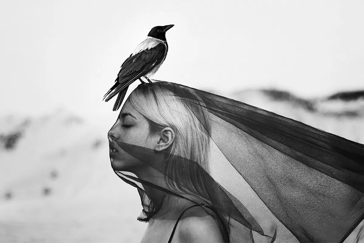 Raven on head of a woman wearing a black veil.
