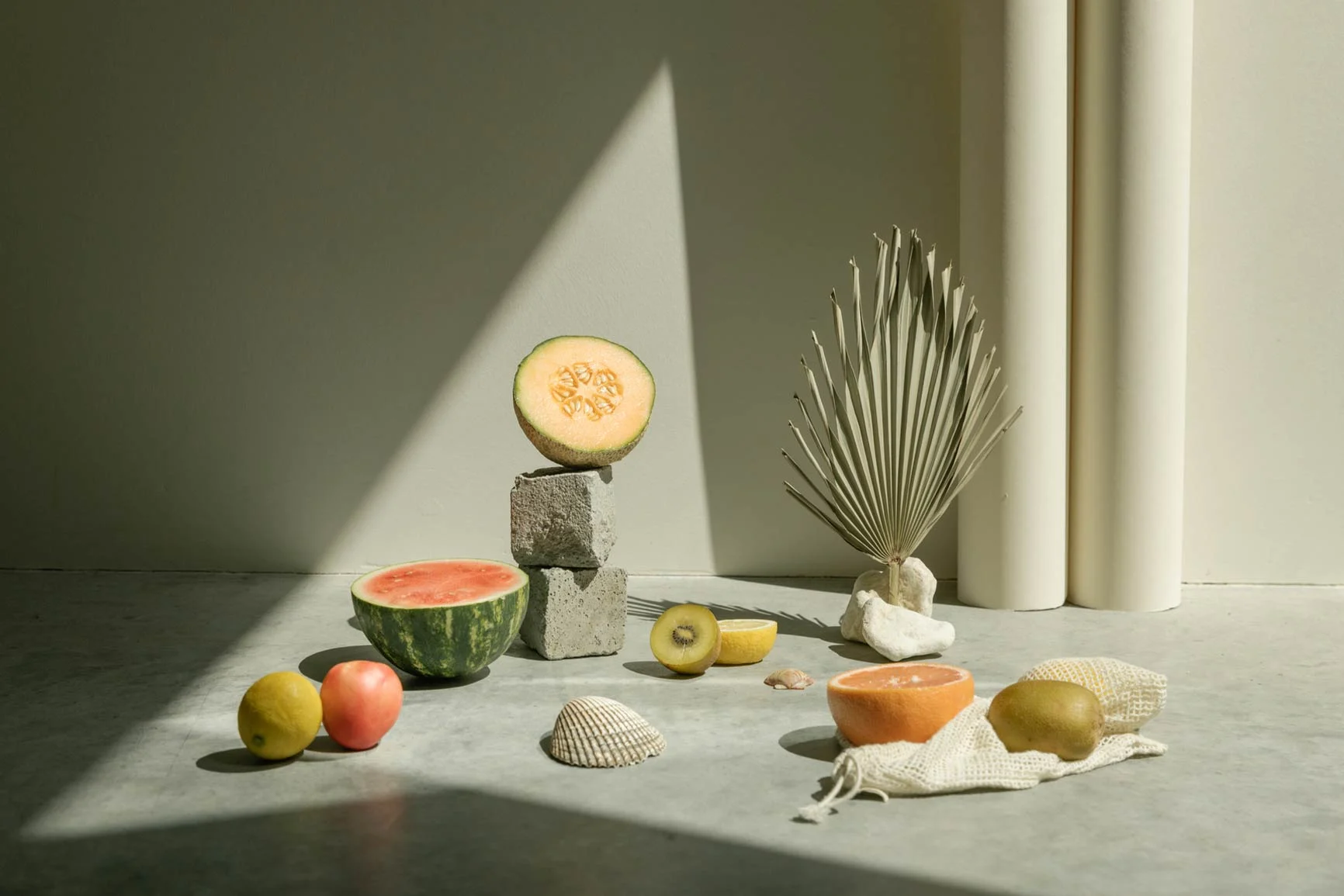 Fruit Arrangement A halved melon on two gray stones, with a dried palm frond next to it; in front of it, various fruits and seashells on a gray ground with shadows.