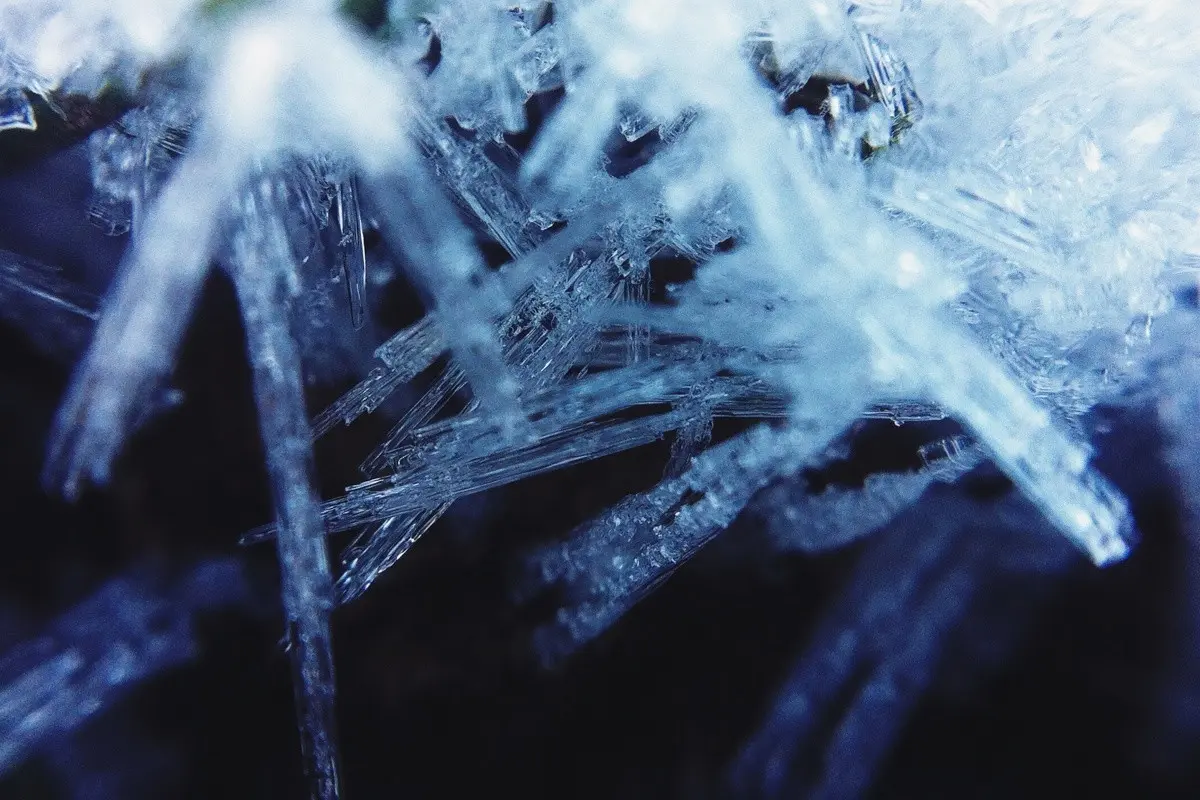 macro photography of ice crystals - Photo by Jasmin Rex.