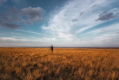 Introduction à la photographie Vaste paysage d'herbe dorée sous un ciel bleu avec des nuages, une personne avec un appareil photo se tient au centre.