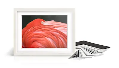 Flamingo mit Passepartout Gerahmtes Foto eines pinken Flamingos mit weißem Passepartout, daneben Musterkarten.