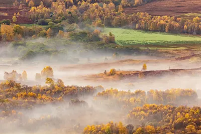Bart Heirweg - Nebel über herbstlicher Landschaft Nebel über einer herbstlichen Landschaft mit gelb-orange gefärbten Bäumen und grünen Wiesen.