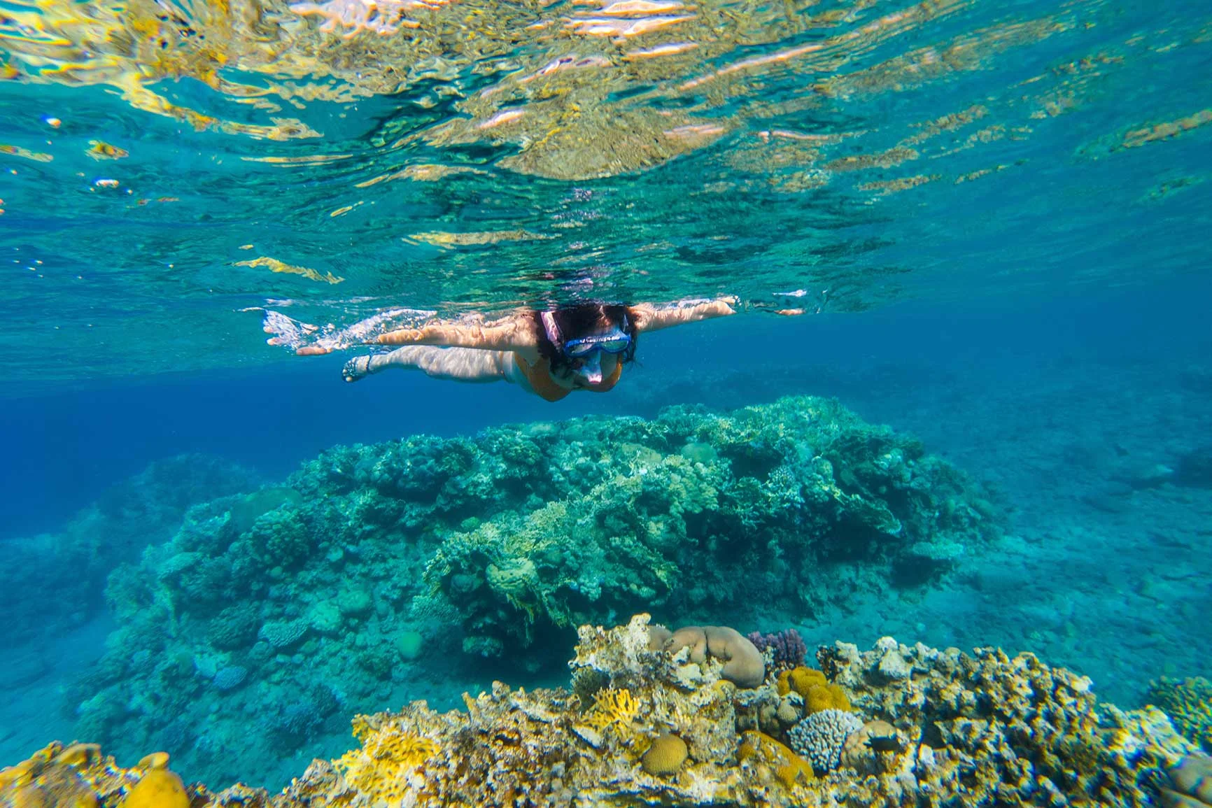 Un buceador nada sobre un colorido arrecife de coral en aguas cristalinas. Un buceador nada sobre un colorido arrecife de coral en aguas cristalinas.