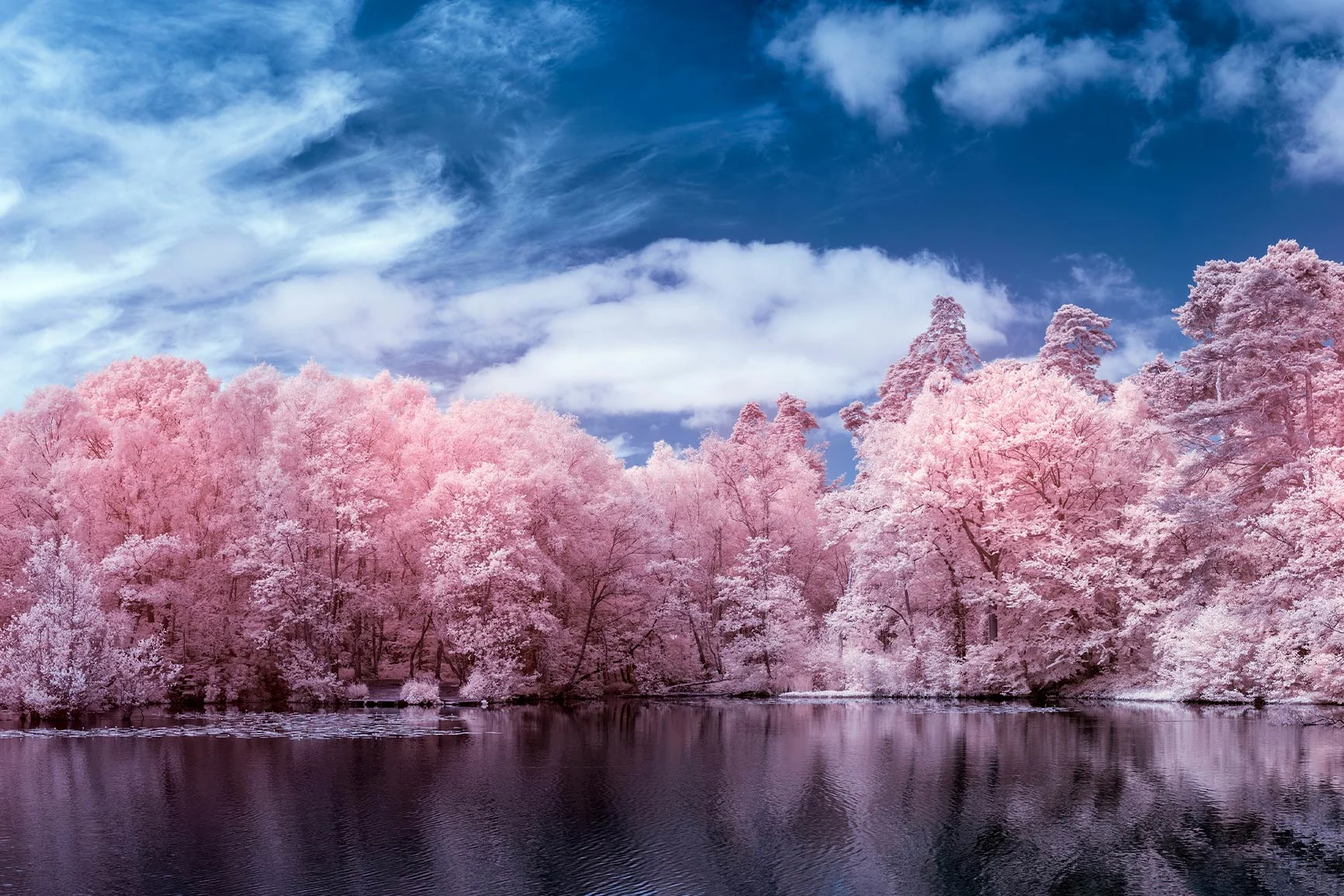 Lake and trees in infrared A landscape with a lake and trees captured in infrared photography. The trees appear pink, and the sky is blue with clouds.