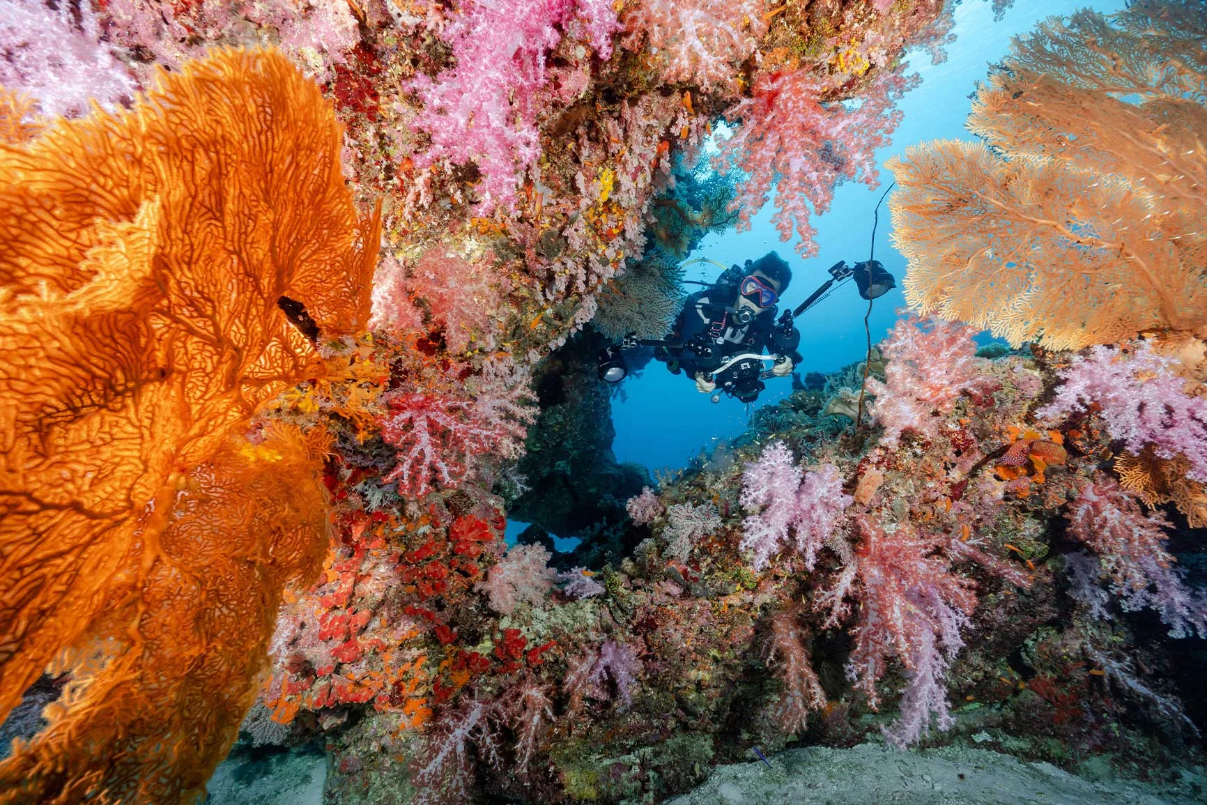 Diver with a camera among the corals A diver with a camera, surrounded by colorful corals and sponges in an underwater landscape.