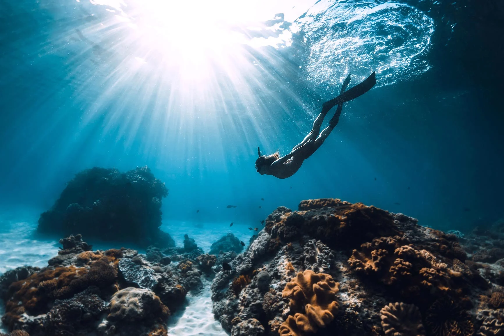 Un buceador nada bajo el agua sobre un arrecife de coral, los rayos del sol atraviesan la superficie del agua. Un buceador nada bajo el agua sobre un arrecife de coral, los rayos del sol atraviesan la superficie del agua.