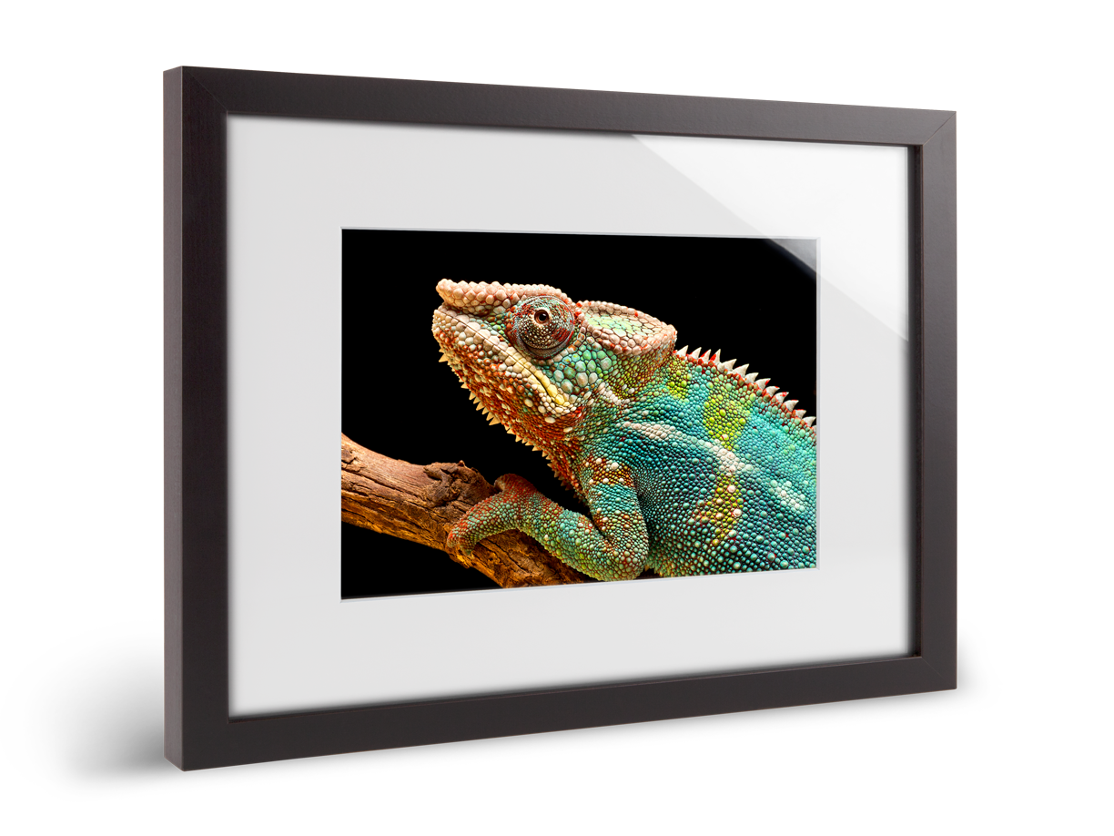 ultraHD photo print on Fuji Crystal Archive Maxima paper in a solid wood passe-partout frame.