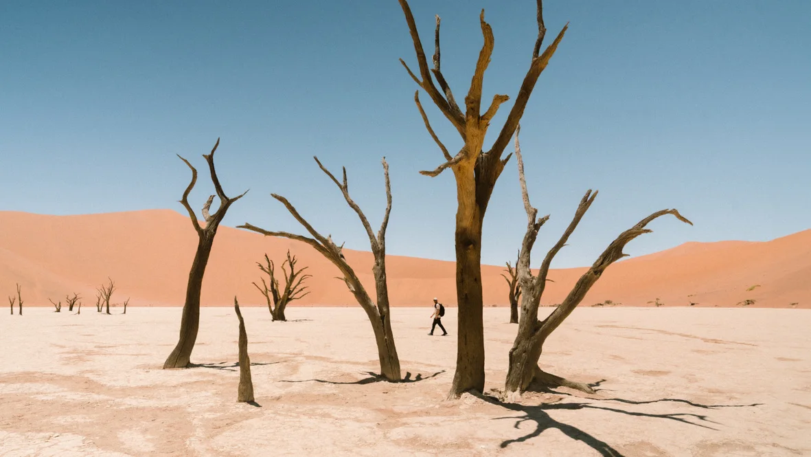 Thylacine en Namibie – L'immensité infinie du désert Une vue panoramique d'un vaste paysage de désert aride en Namibie sous un ciel lumineux et légèrement brumeux. L'avant-plan est parsemé de touffes d'herbe sèche et claire poussant sur le sol sablonneux. À l'arrière-plan, une chaîne de montagnes douce s'étire à l'horizon, transmettant un sentiment de calme et d'espace infini.