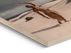 Foto-Druck auf Holz Nahaufnahme einer Person, die vor Sanddünen in einer Wüste steht, auf Holz gedruckt.