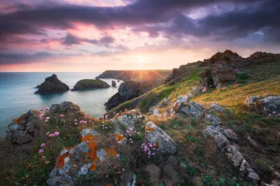 Felsenküste bei Sonnenuntergang Felsige Küste mit bunten Blumen, Sonnenuntergang über dem Meer, teils bewölkter Himmel im Hintergrund.