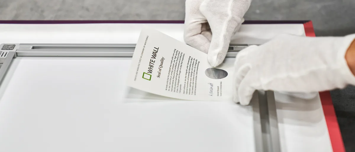 WhiteWall Qualitätssiegel Mit Handschuhen versehene Hände handhaben das WhiteWall Qualitätssiegel auf der Rückseite eines Wandbildes