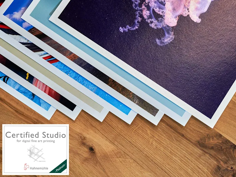 Fine Art Prints Several art prints with white borders lie on a wooden table, the top one shows a purple jellyfish illustration.