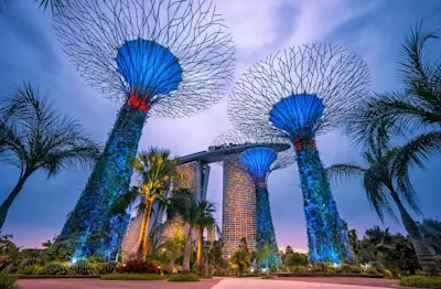 Pavel Kaplun – Supertree Grove Supertree Grove in Singapur bei Dämmerung mit beleuchteten, baumähnlichen Strukturen und Palmen.