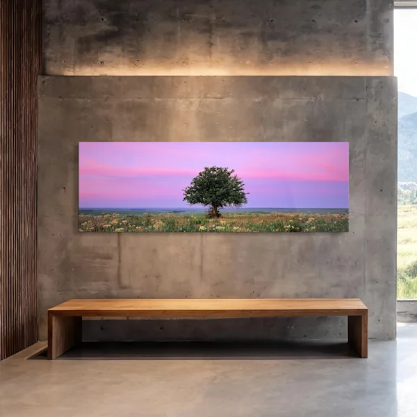 Single tree in a meadow A single tree in a meadow against a pink-and-purple sky, hanging from a concrete wall above a wooden bench.