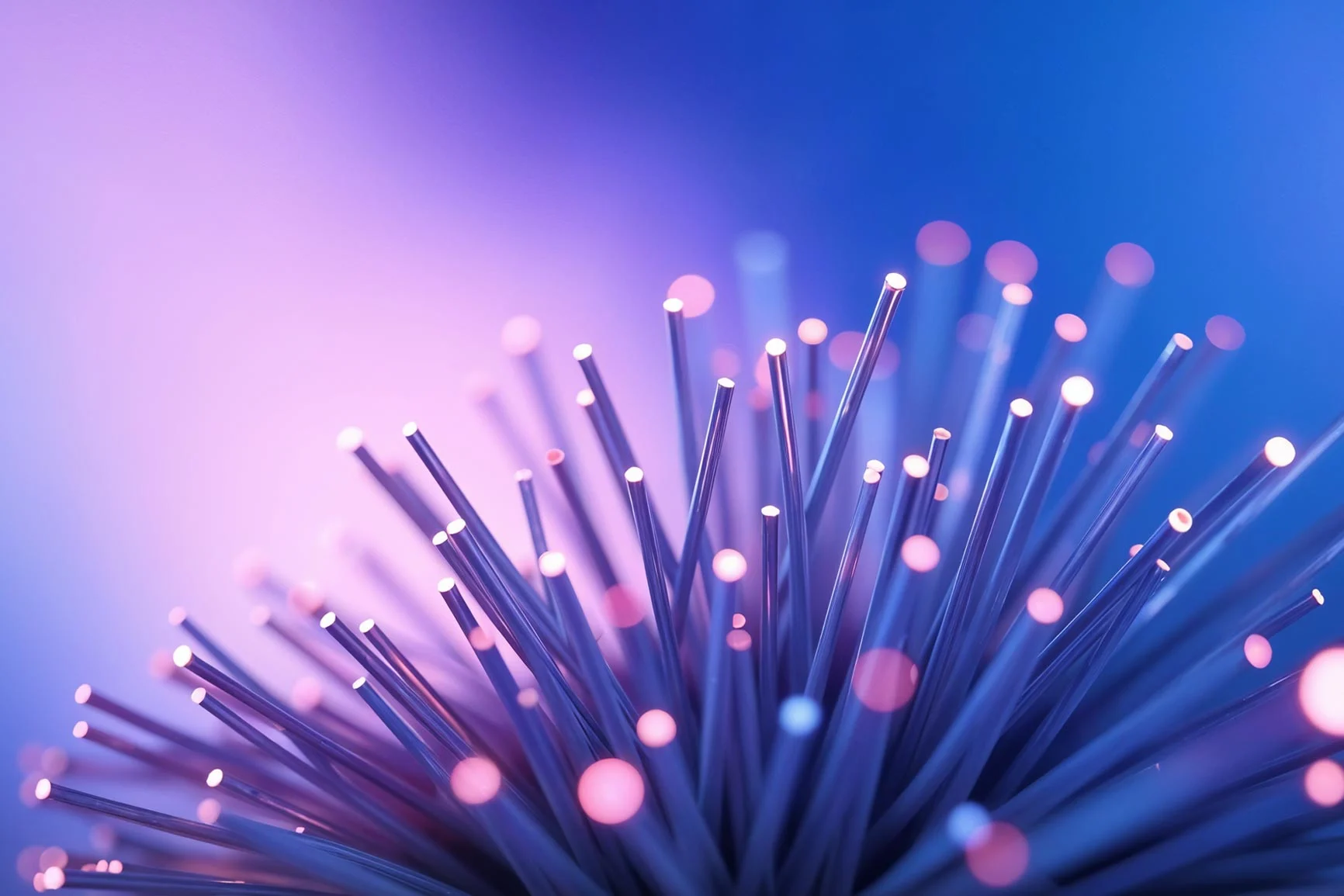 Close-up of thin purple rods Close-up of thin rods with glowing ends against a blurred violet-blue background.