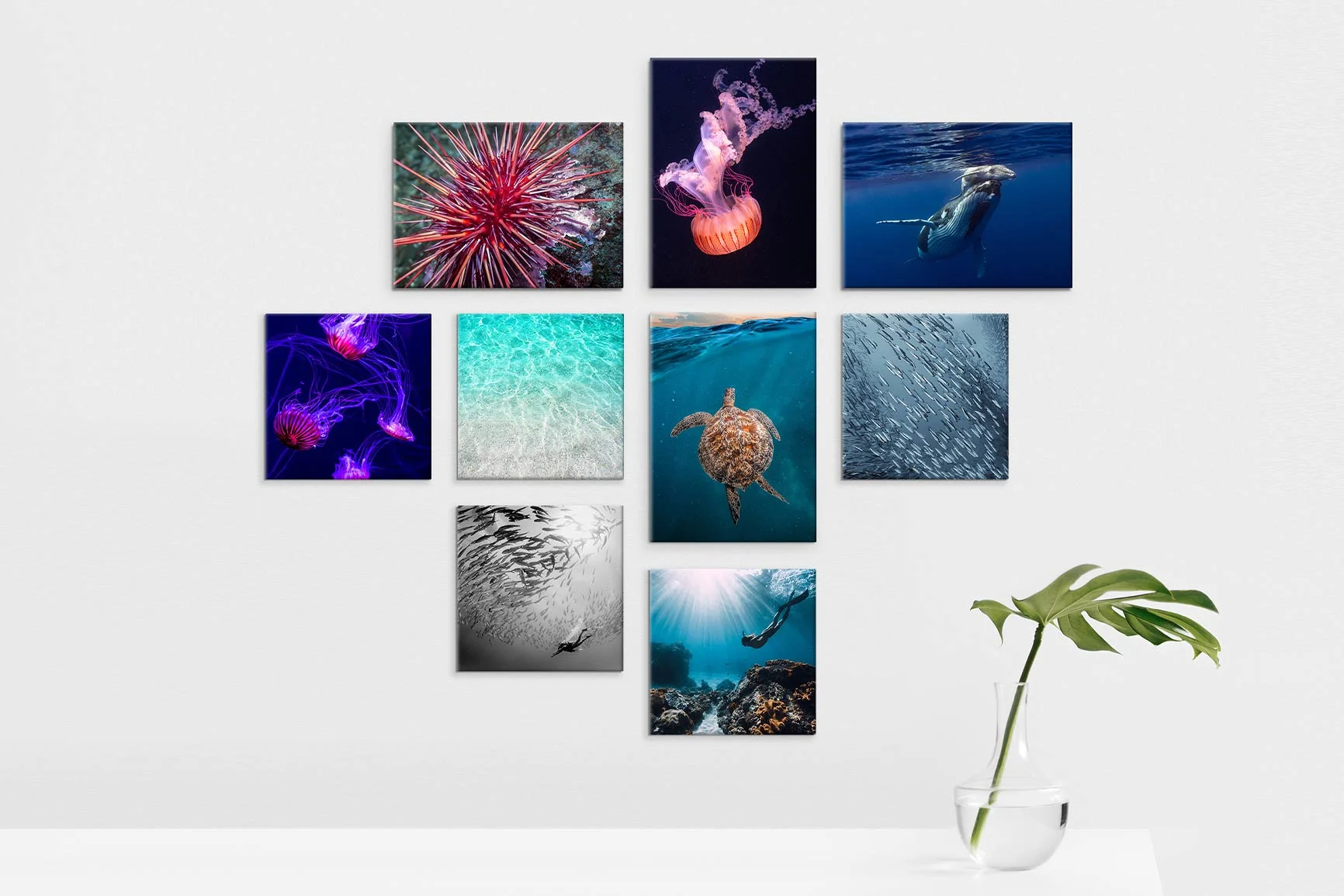Ocho fotografías submarinas cuadradas muestran diferentes motivos, dispuestas en una pared blanca. Ocho fotografías submarinas cuadradas muestran diferentes motivos, dispuestas en una pared blanca.