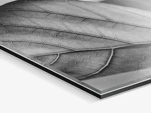 Ilford z/w-afdruk onder acrylglas Zwart-wit fotoafdruk onder acrylglas met zoomfunctie aan de rand.