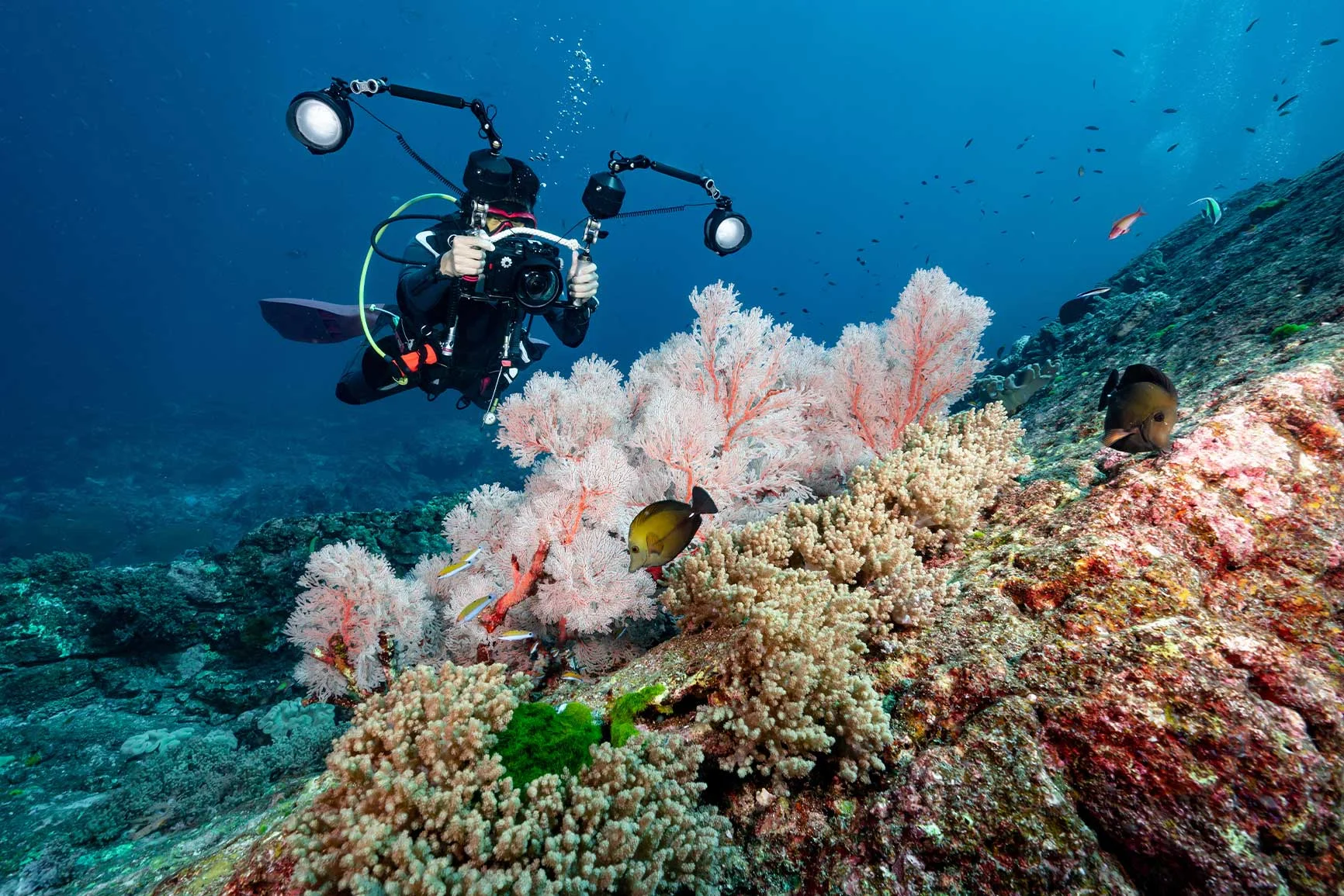 Underwater photographer An underwater photographer with a camera and two strobes dives over a coral reef teeming with soft corals and various fish.