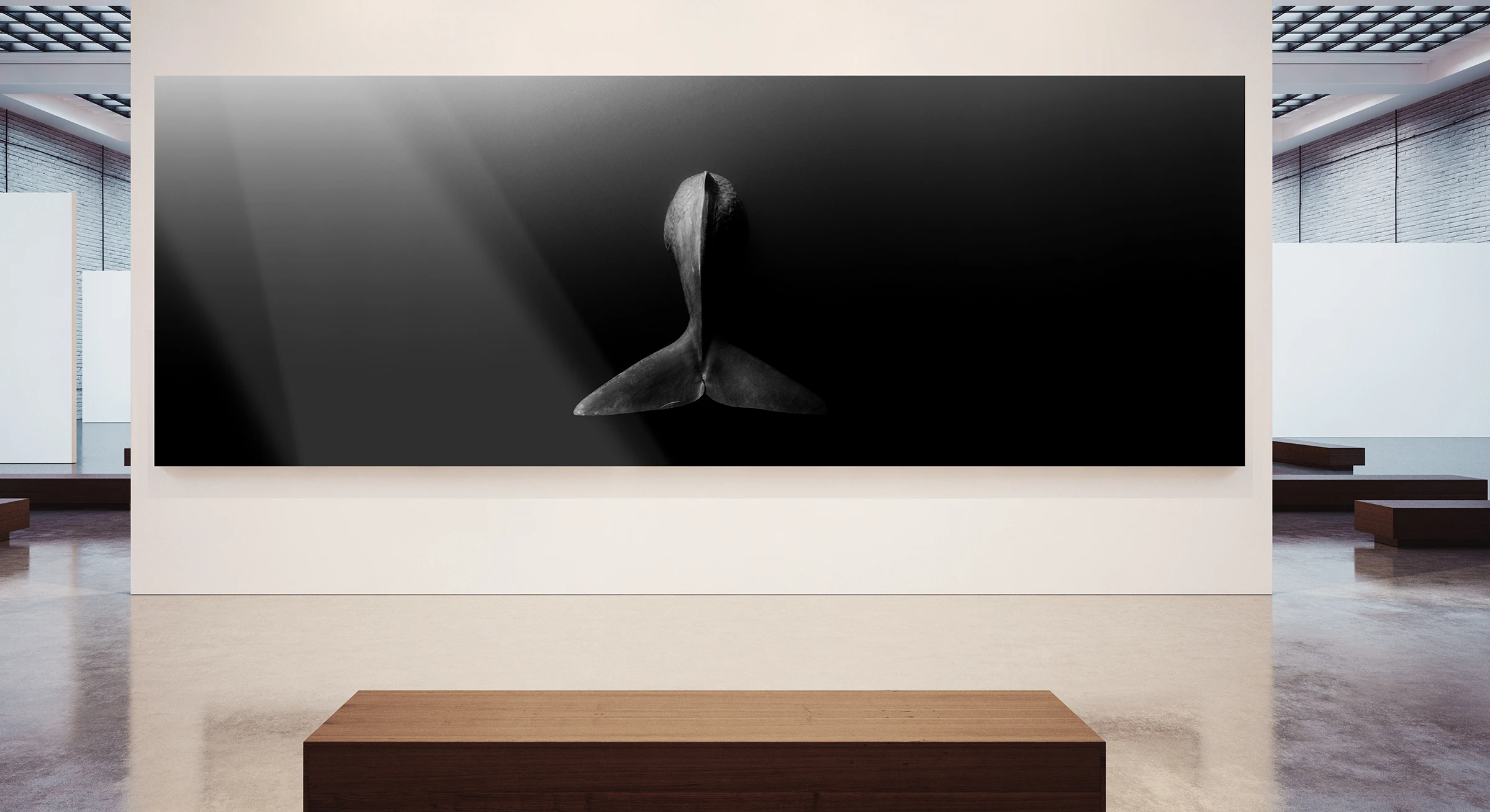 whale in water panorama photo as WhiteWall Masterprint hanging on a gallery wall.