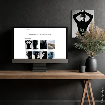 LP | B2B | Product Grid Section | Shopify | Asset Picture of a Shopify-Shop with WhiteWall