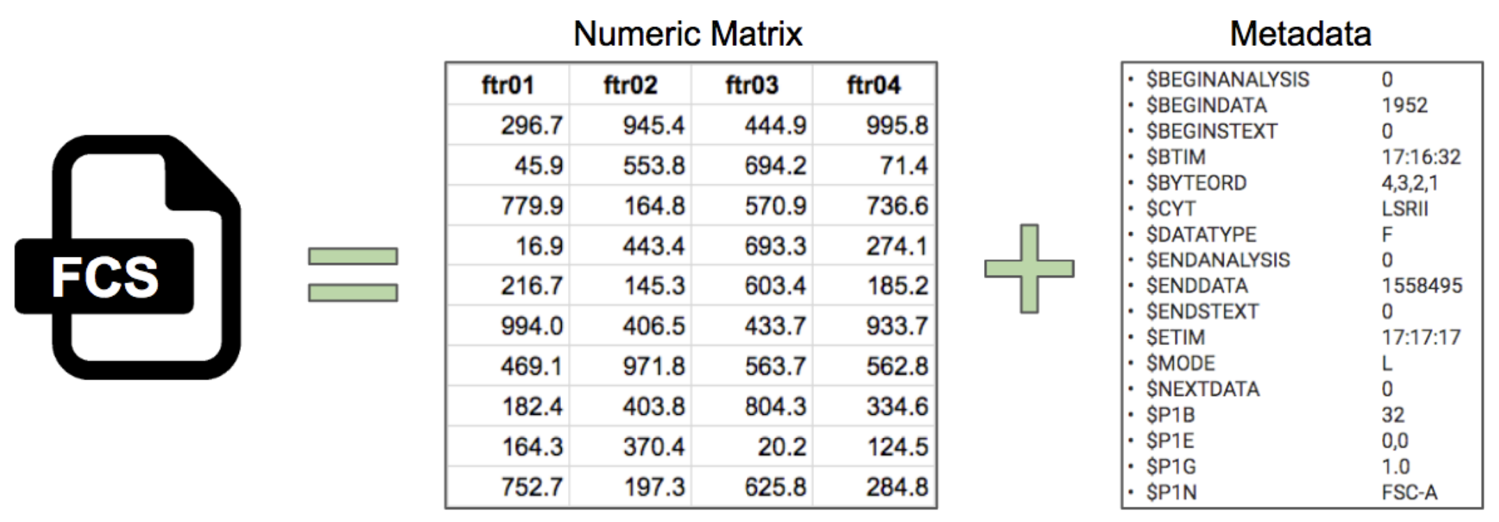 Data Scaling. Foundations