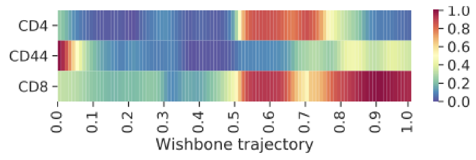 Wishbone trajectory heatmap