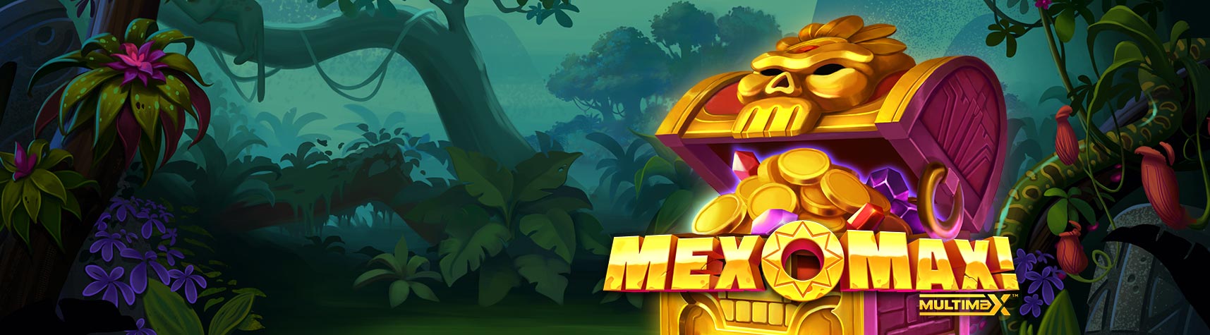 GOTM Mexomax BG 1715x475
