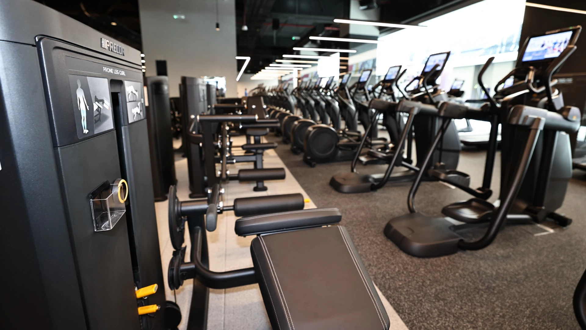 Wellfit, Émirats arabes unis
